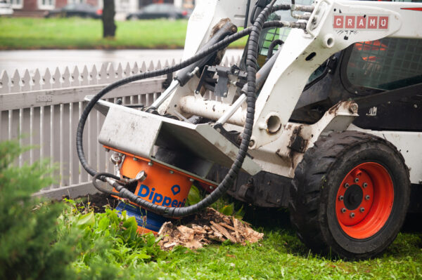 Dipperfox Stump Crusher SC 600